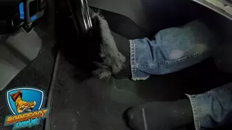 NYCFEET DRIVES HIS MAZDA IN BLACK SOCKS