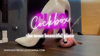 Cleo Domina - Cock box, the most beautiful place