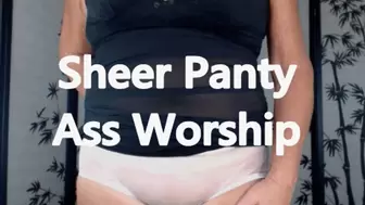Sheer Panty Ass Worship XHD (WMV)