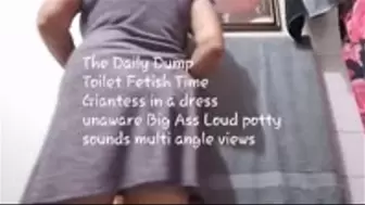 The Daily Dump Toilet Fetish Time Giantess in a dress unaware Big Ass Loud potty sounds multi angle views