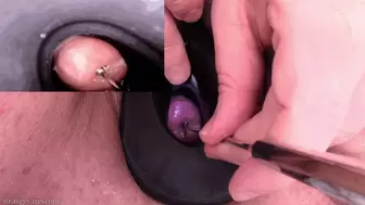 cervix penetration with 4 toys