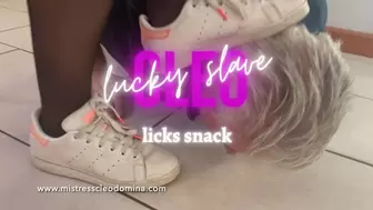 Cleo Domina - Lucky slave licks snack