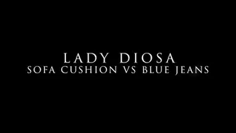 Sofa cushion vs blue jeans