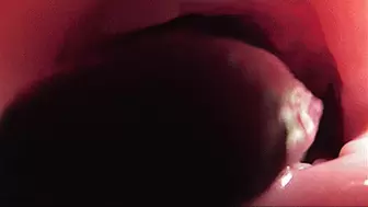 A BIG MOUTH SWALLOWS THE CAMERA OBJECT!MP4