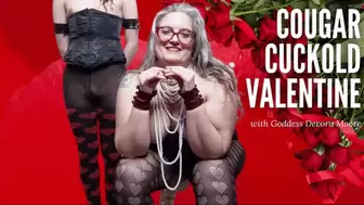 Cougar MiLF Cuckold Valentines Oral Service JOI
