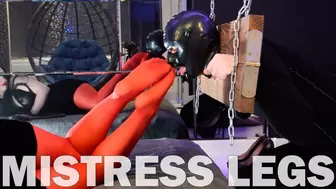 Shackled Slave Worships Mistress's Red Nylon Legs (MP4 HD)