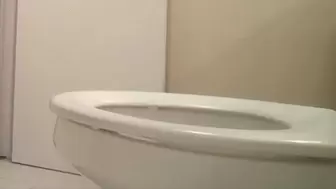 Stuck in my Toilet