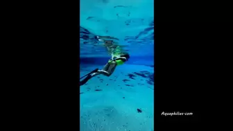 Aquaphilias- Carissa Dumond Bondage Swim