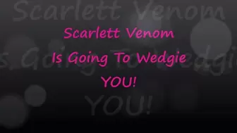 Scarlett Venom Is Going To Wedgie You