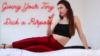 Giving Your Tiny Dick a Purpose *INTERACTIVE*