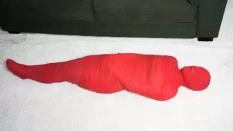 2038 Ebs in Red Mummification