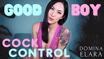 Good Boy Cock Control