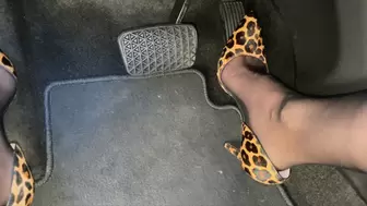 Revving the Buick in Leopard Print Pumps & Nylons