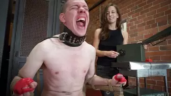 Electro Torment for Meat Eater - Dart Tech and Elise Graves - Extreme Electro Magneto Empathy Training for Carnivore