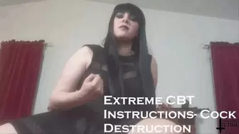 Extreme CBT Instructions- Cock Destruction