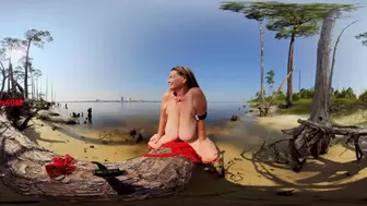 Huge Tits On Pine Tree (360 VR)