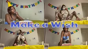 Make a Wish WAM POV (HD WMV)