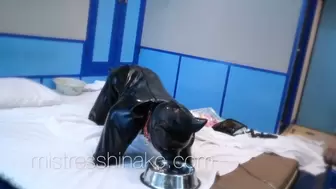 Cute Rubber Doggy