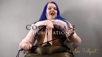 Cock Tease Humiliation (wmv)