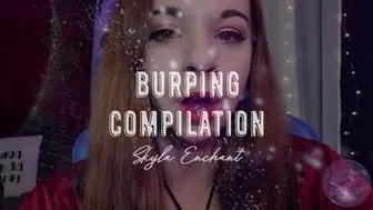 Burping Compilation