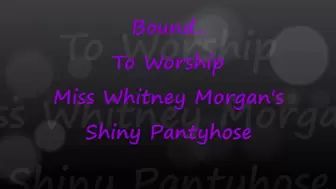 Bound To Worship Miss Whitney Morgan’s Shiny Pantyhose