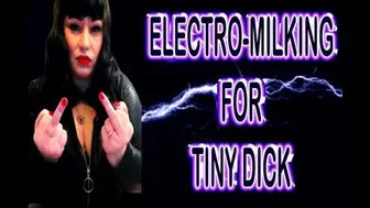 ELECTRO MILKING FOR TINY DICK