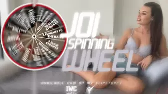 JOI Spinning Wheel