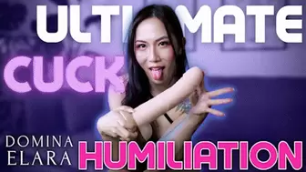 Ultimate Cuck Humiliation