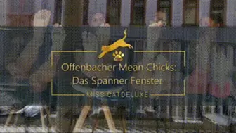 Offenbacher Mean Chicks: Das Spanner Fenster