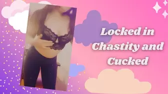Locked in Chastity and Cucked