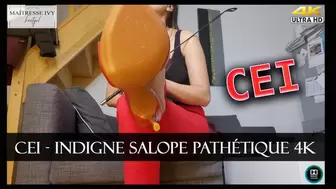 CEI - Indigne Salope Pathétique 4K