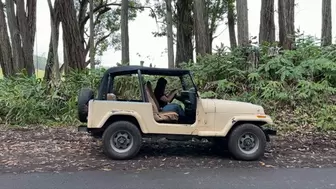 1992 Jeep Wrangler Cranking