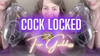 Cock Locked For Goddess
