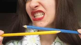 THE MOUTH CHEWS WOODEN PENCILS