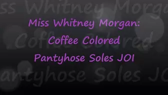 Whitney Morgan: Coffee Berkshire Pantyhose Soles JOI