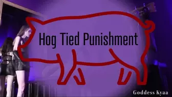 Hog Tied Punishment