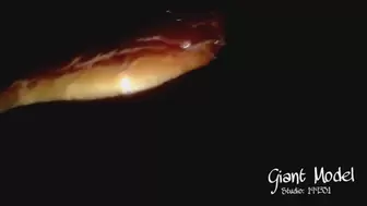 Realistic view of a Gummy chewing