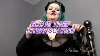 Glove Thief Interrogation (wmv)