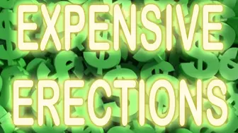 EXPENSIVE ERECTIONS