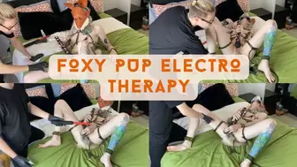 Fox Pup Electro Therapy
