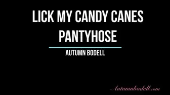 Lick My Candycanes Pantyhose