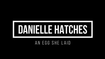 Danielle Hatches an egg she Laid