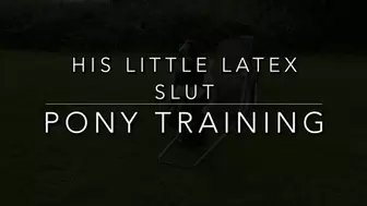 Pony Training