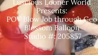 POV BJ with Geo Blossom Balloons