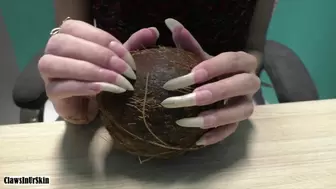 Nails In Action - nails scratching the coconut hard
