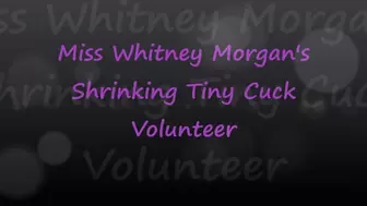 Miss Whitney Morgan’s Shrinking Tiny Cuck Volunteer