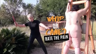 Whip or Cane? Rate the Pain HD