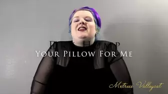 Dry Hump Your Pillow For Me