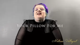 Dry Hump Your Pillow For Me (wmv)