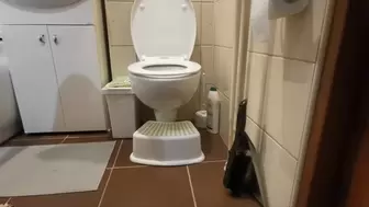 Rubbing my pussy to ORGASM right after finishing toilet